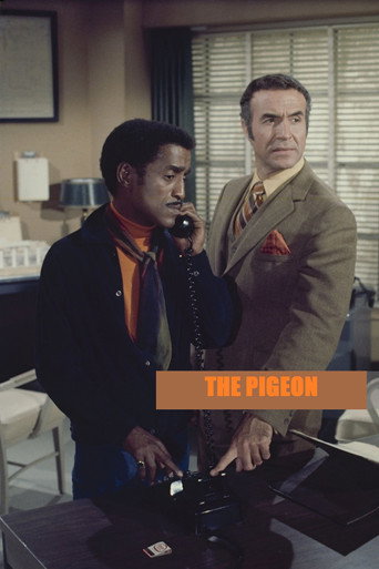 Póster de The Pigeon