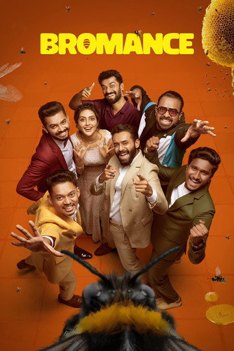 Póster de ബ്രോമാൻസ്