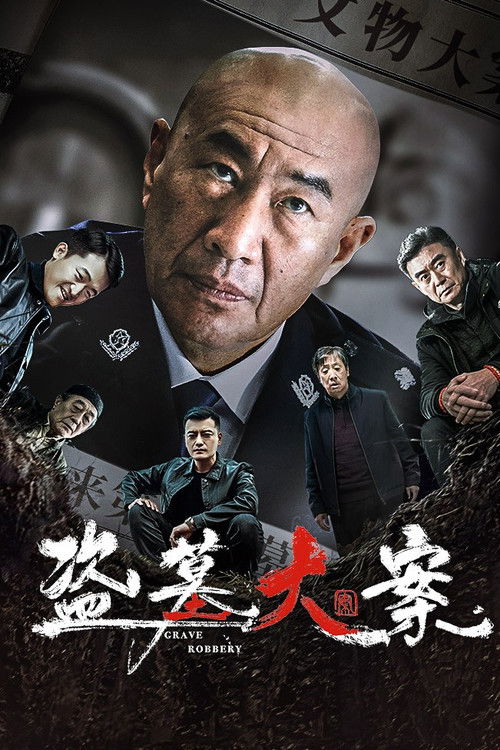 Póster de 盗墓大案