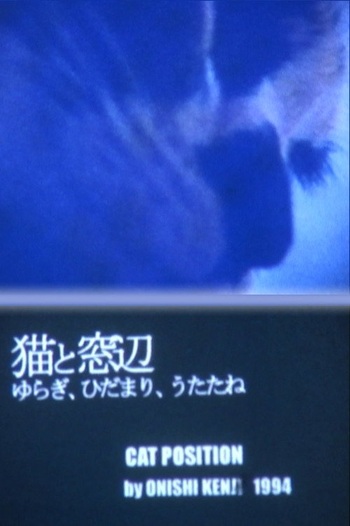 Póster de 猫の位置
