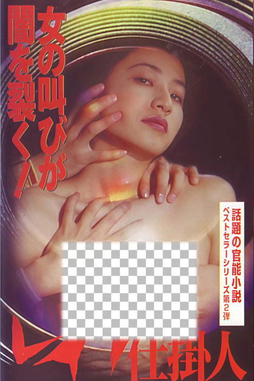 Póster de レイプ仕掛人