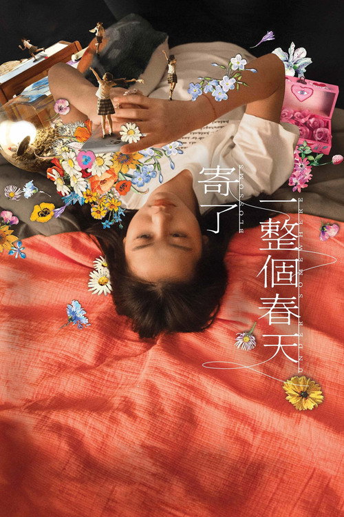 Póster de 寄了一整個春天