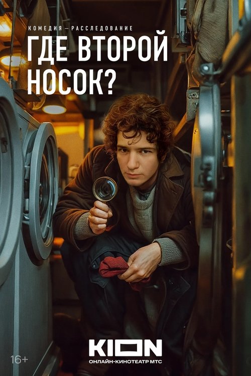 Póster de Где второй носок?