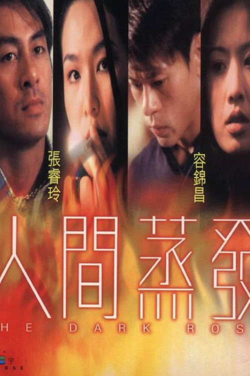 Póster de 人間蒸發