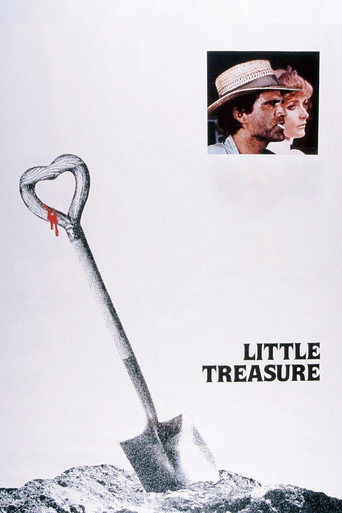 Póster de Little Treasure