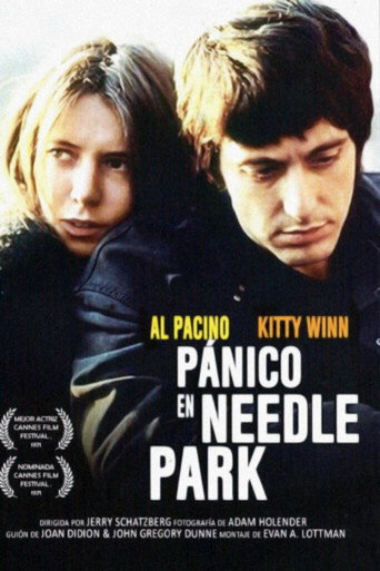 Póster de Pánico en Needle Park