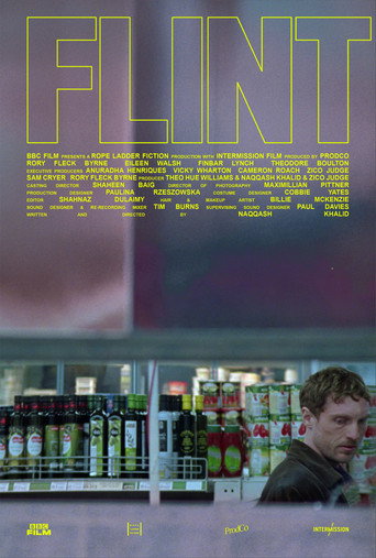 Póster de FLINT