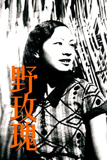 Póster de 野玫瑰