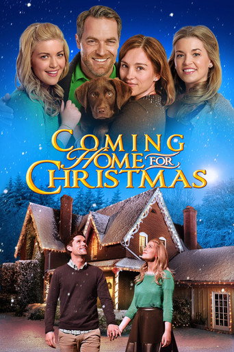 Póster de Coming Home for Christmas