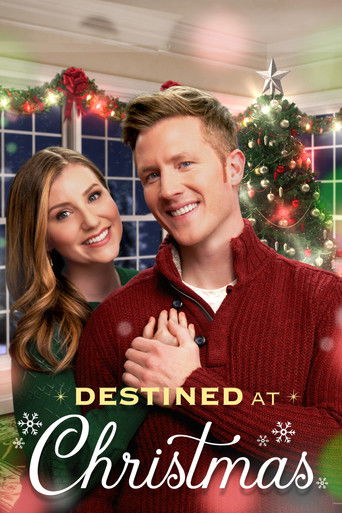 Póster de Destinos de navidad