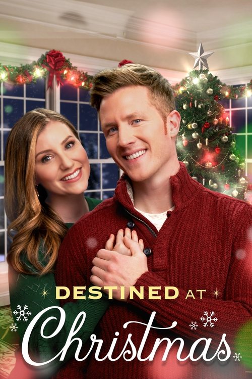Póster de Destinos de navidad