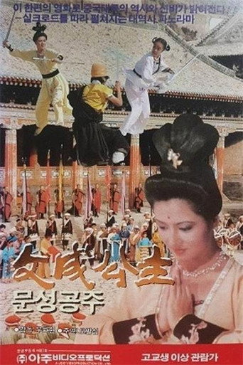 Póster de 文成公主