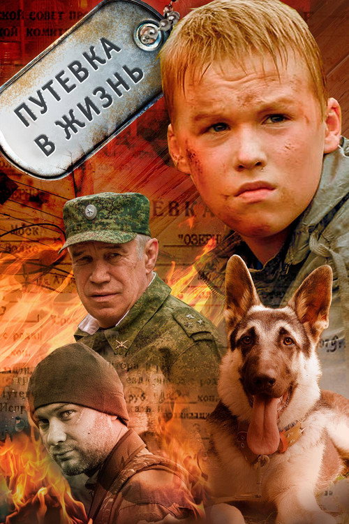 Póster de Путевка в жизнь