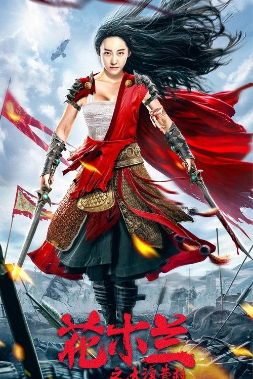 Póster de 花木兰之大漠营救