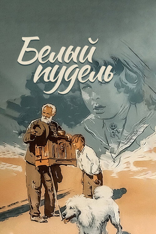 Póster de Белый пудель