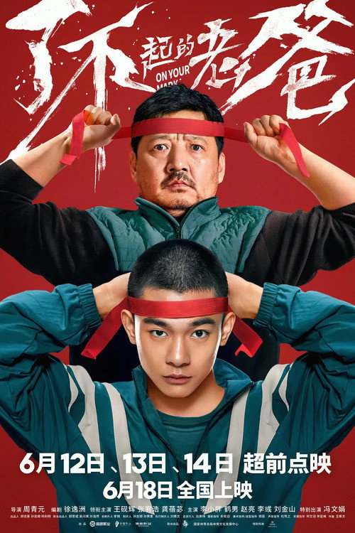 Póster de 了不起的老爸