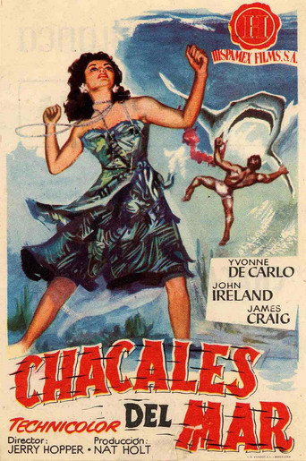 Póster de Hurricane Smith