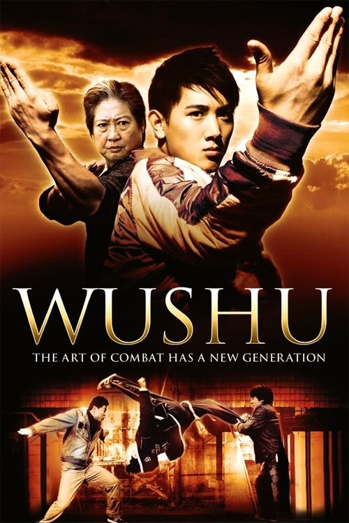 Póster de 武术之少年行