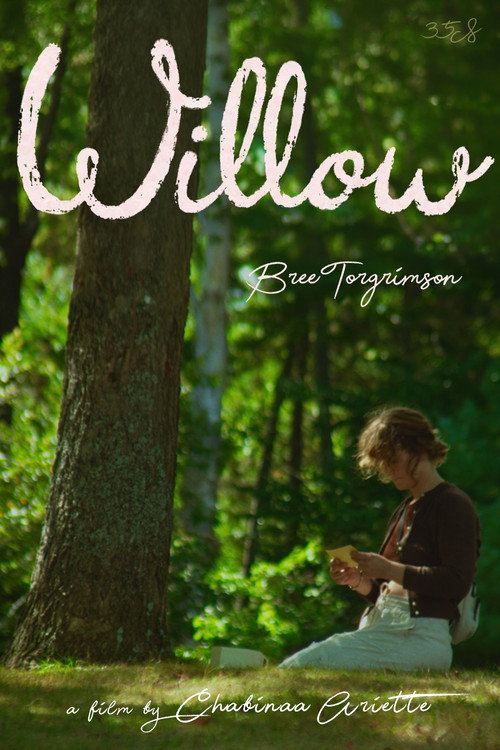 Póster de Willow