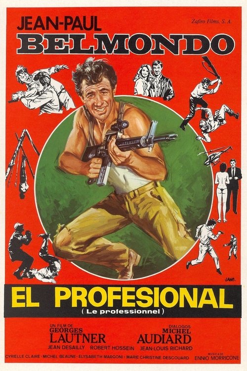Póster de El profesional