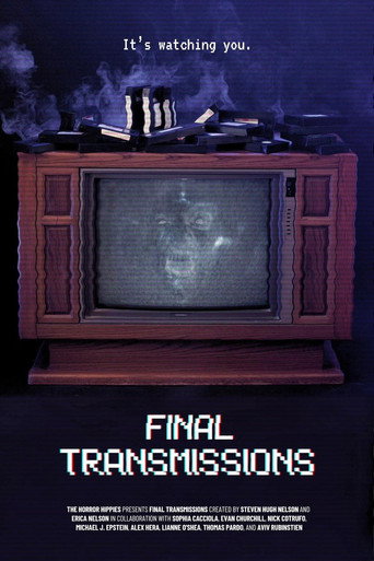 Póster de Final Transmissions