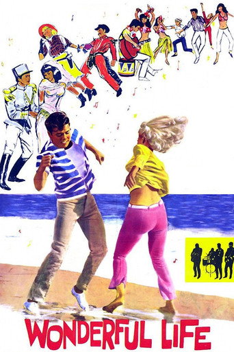 Póster de Wonderful Life