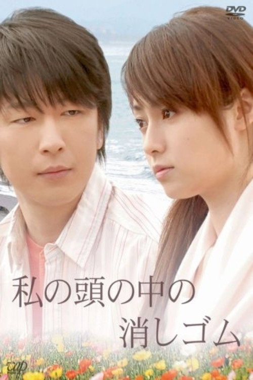 Póster de 私の頭の中の消しゴム