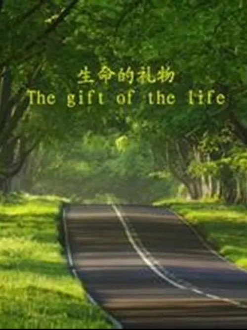 Póster de 生命的礼物