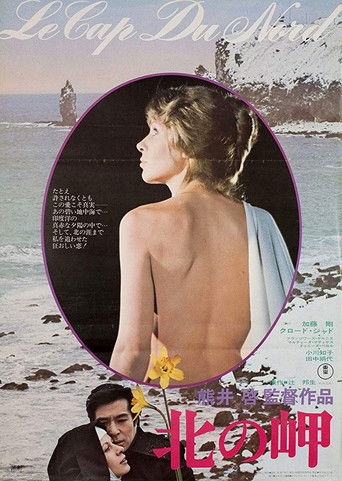 Póster de 北の岬