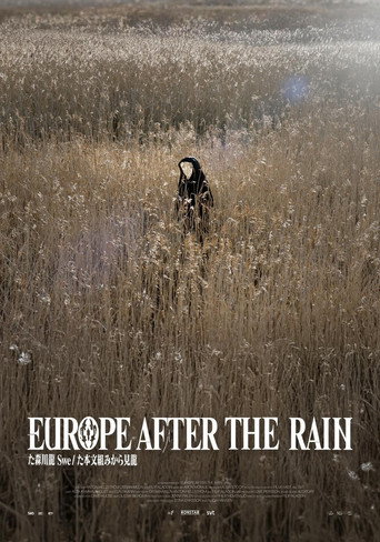 Póster de Europa Efter Regnet