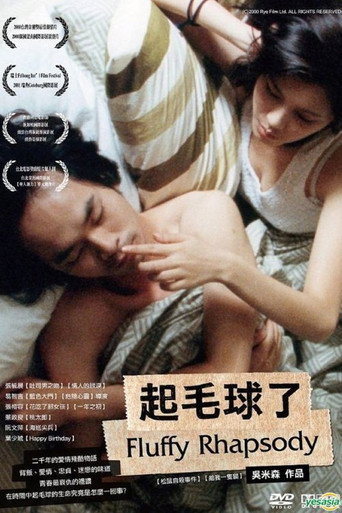 Póster de 起毛球了