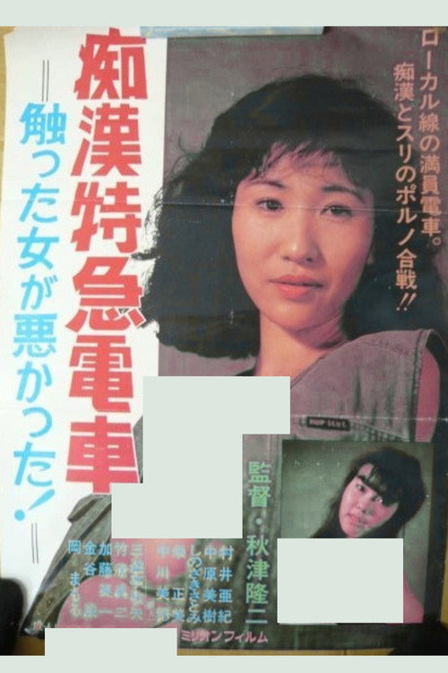 Póster de 痴漢特急電車　触った女が悪かった！