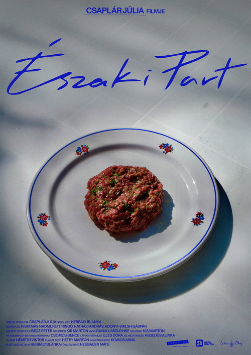 Póster de Északi part