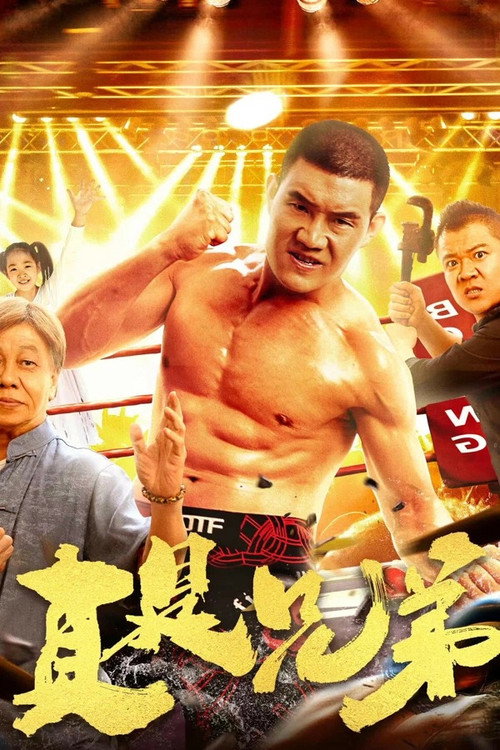 Póster de 真是兄弟