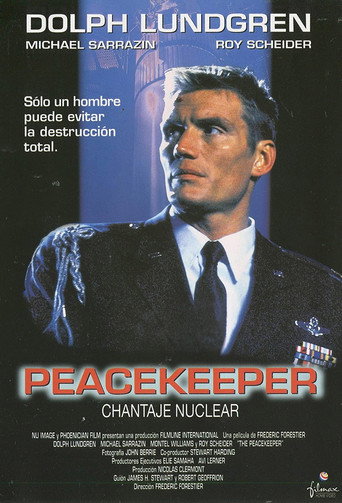 Póster de The Peacekeeper