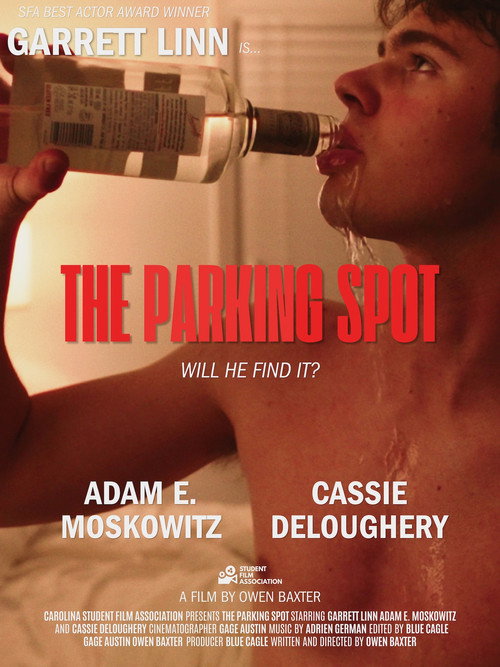 Póster de The Parking Spot