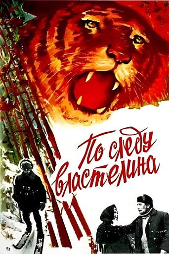 Póster de По следу властелина
