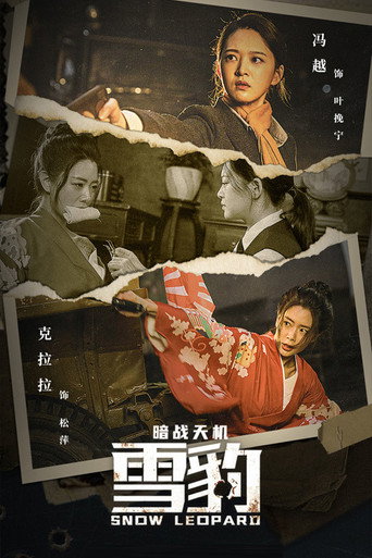 Póster de 雪豹之暗战天机