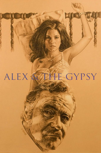 Póster de Alex & the Gypsy