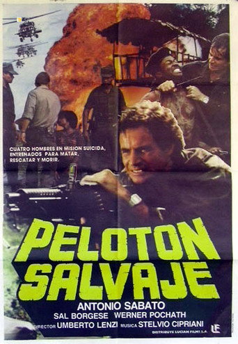 Póster de I cinque del Condor