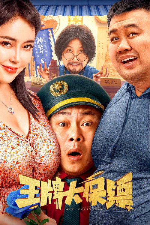Póster de 王牌大保镖