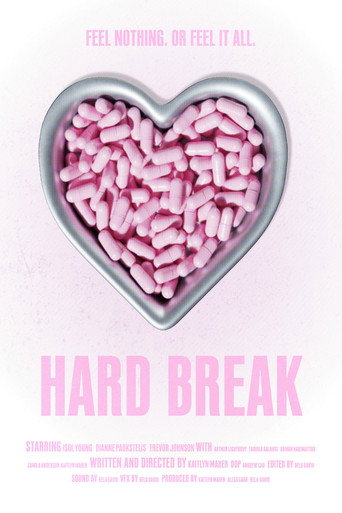 Póster de Hard Break