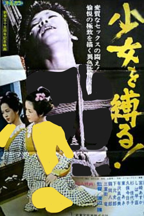 Póster de 少女を縛る！