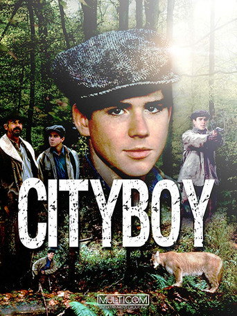Póster de City Boy