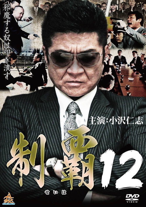 Póster de 制覇１２