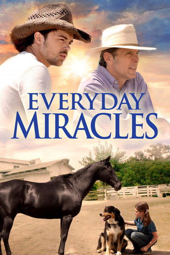 Póster de Everyday Miracles