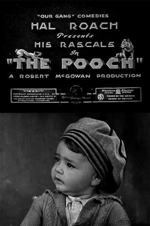 Póster de The Pooch