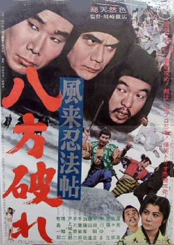 Póster de Homeless Ninja Trick Book: Lose  in All Directions