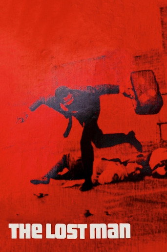 Póster de The Lost Man