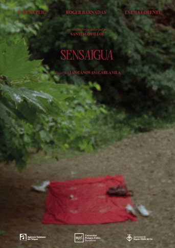 Póster de Sensaigua